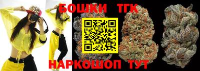гашик Гусев