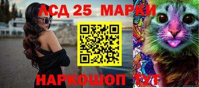 гашик Гусев