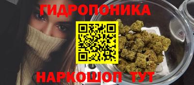 a pvp Гусиноозёрск