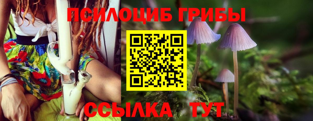 Псилоцибиновые грибы прущие грибы Дятьково